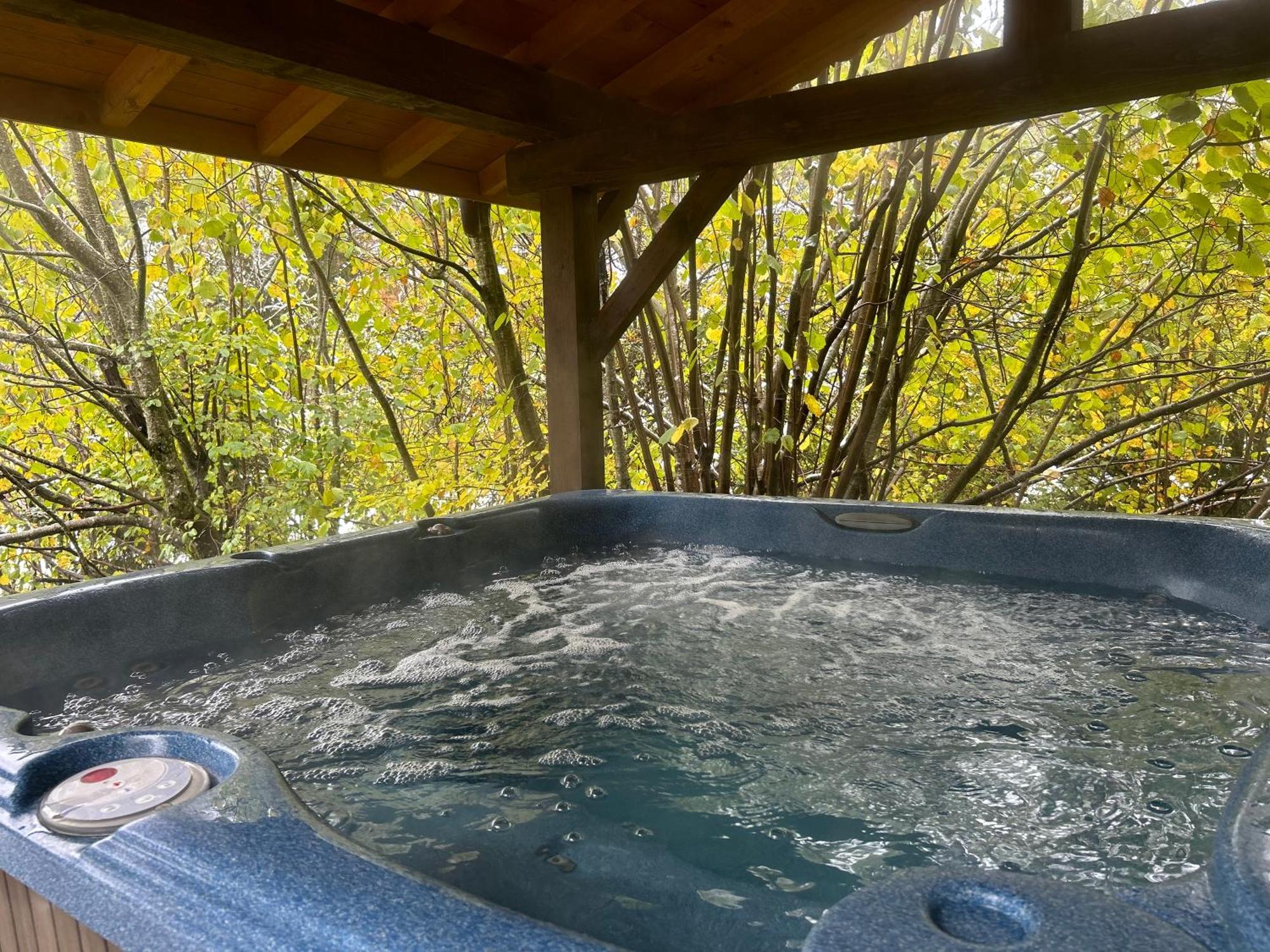 Chalet Adonis - Montriond, Morzine, Avoriaz Экстерьер фото